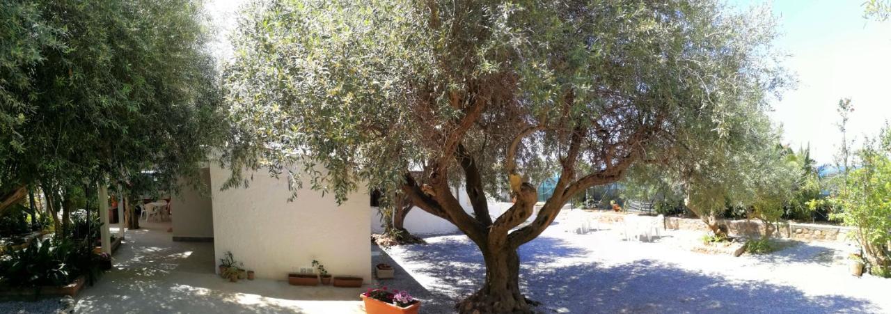 Villa La Plaja チェファル エクステリア 写真